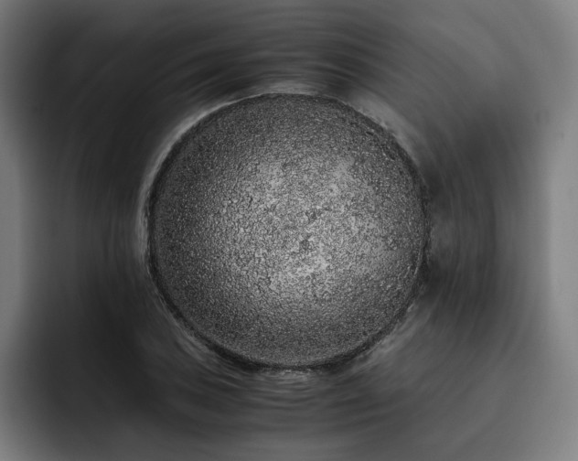X0000093431027200710121158