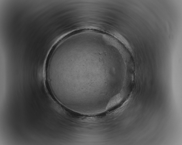 X0000093431028200710121158