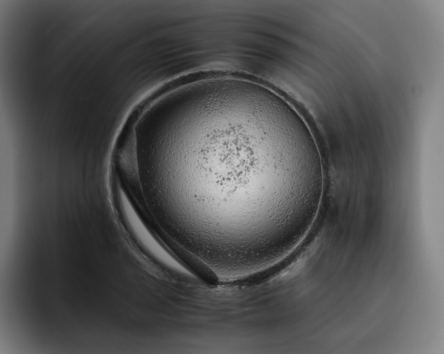X0000093431029200710121158