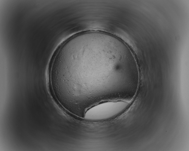 X0000093431032200710121158