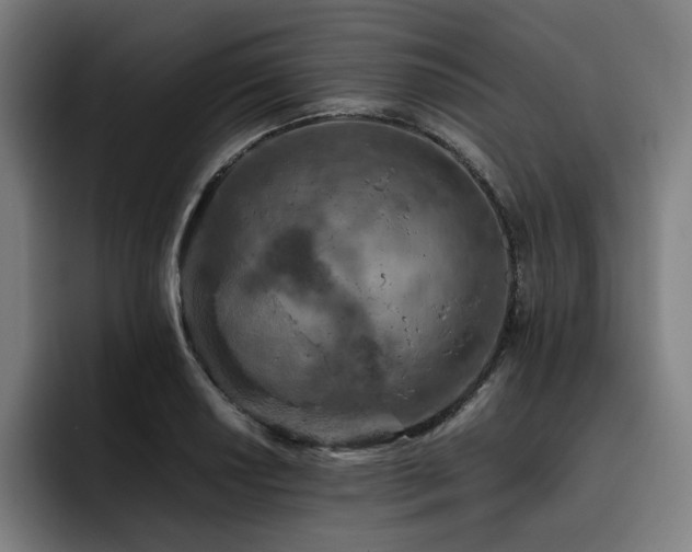 X0000093431034200710121158