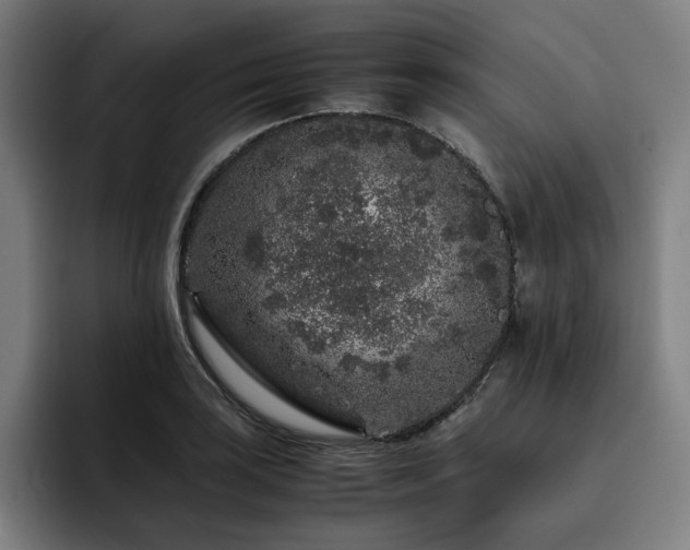 X0000093431035200710121158