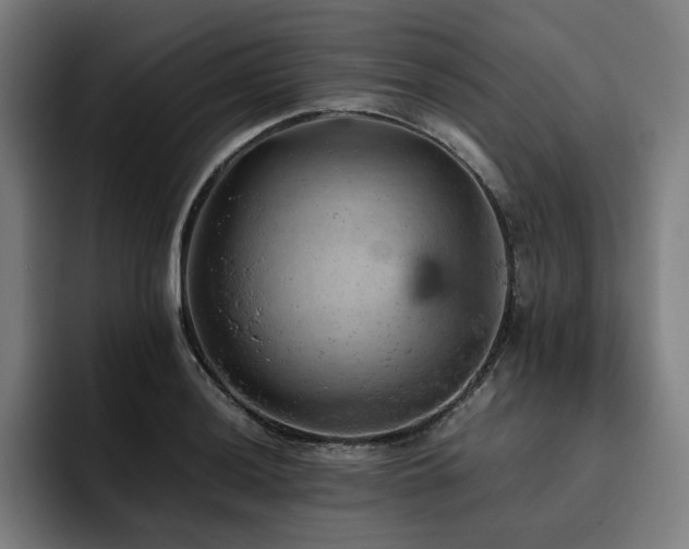 X0000093431036200710121158