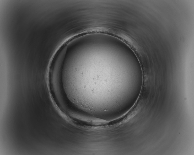 X0000093431038200710121158