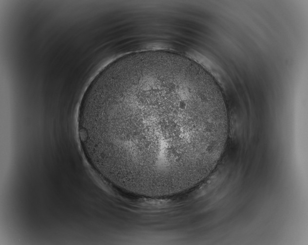 X0000093431039200710121158