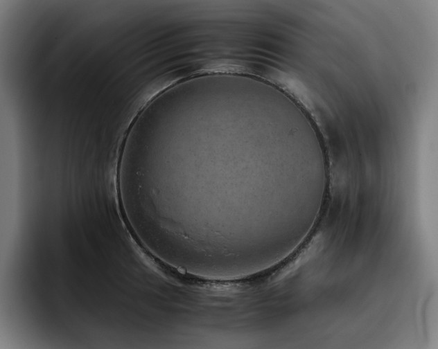 X0000093431041200710121158