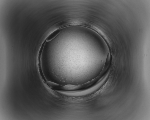 X0000093431042200710121158