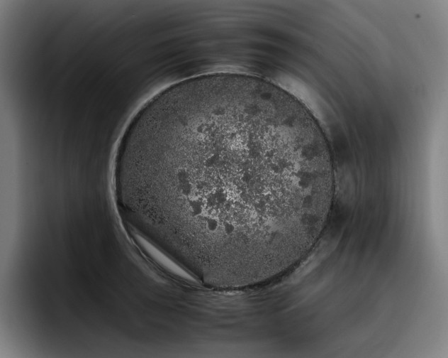 X0000093431043200710121158
