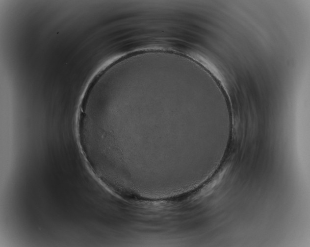X0000093431045200710121158