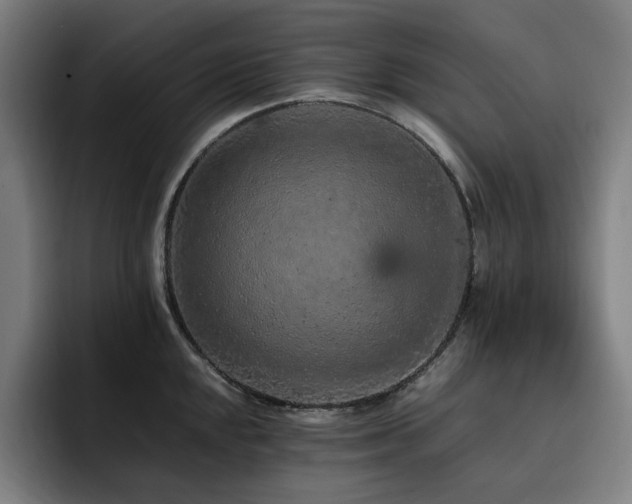 X0000093431048200710121158