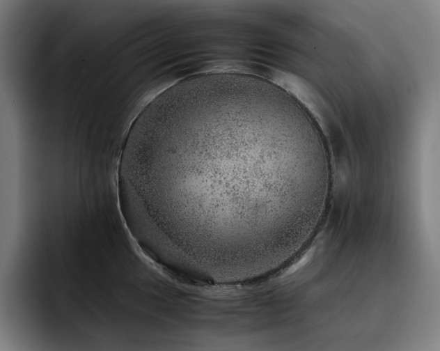 X0000093431049200710121158