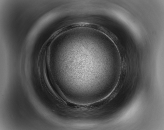 X0000093431054200710121158