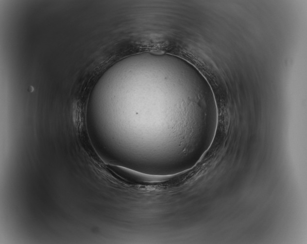 X0000093431058200710121158