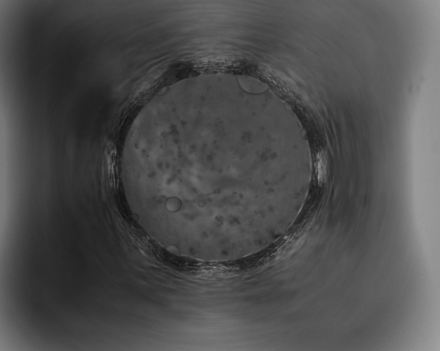 X0000093431059200710121158