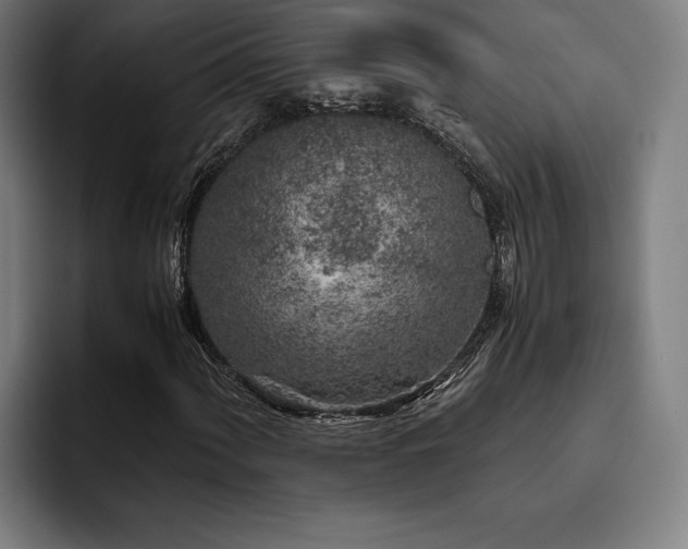 X0000093431060200710121158