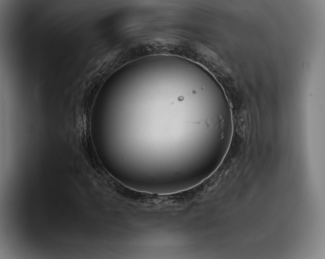 X0000093431061200710121158