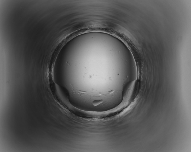 X0000093431065200710121157