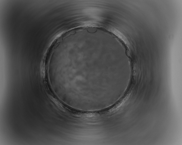 X0000093431067200710121157
