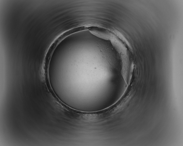 X0000093431068200710121157