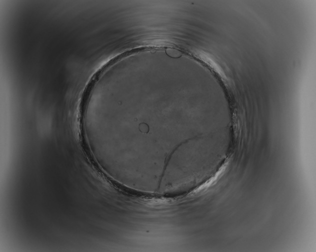 X0000093431071200710121157