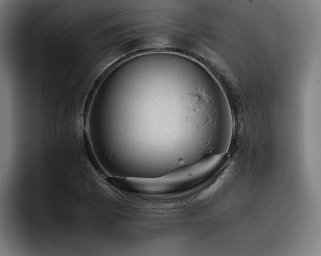 X0000093431073200710121157