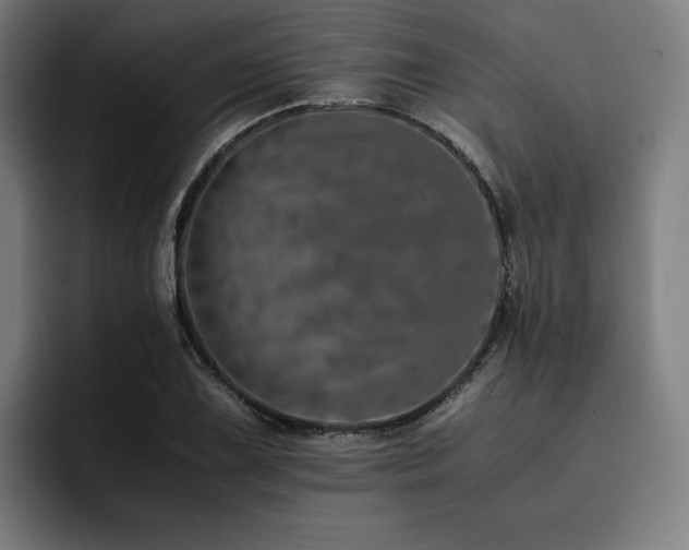 X0000093431075200710121157
