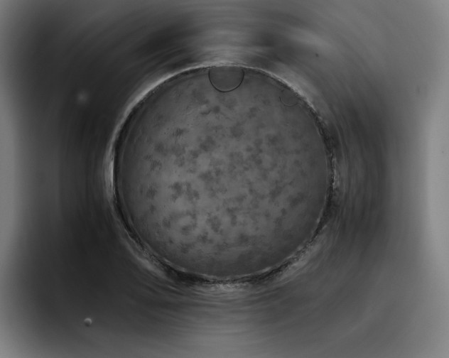 X0000093431078200710121157
