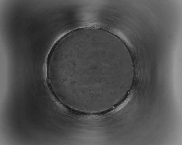 X0000093431079200710121157
