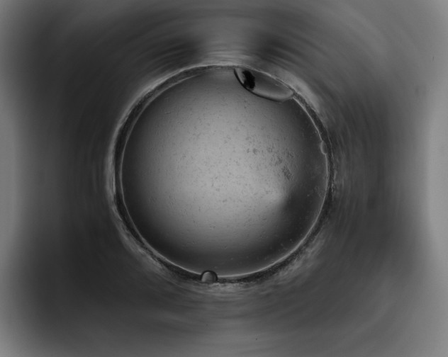 X0000093431080200710121157