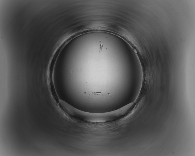 X0000093431082200710121157