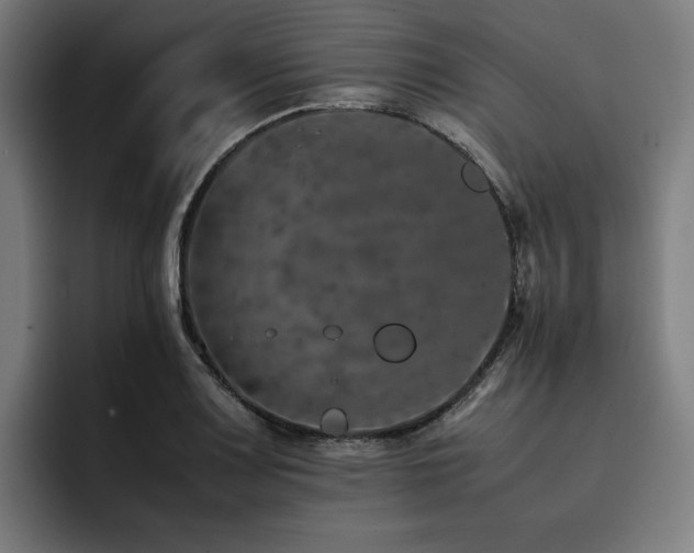 X0000093431083200710121157