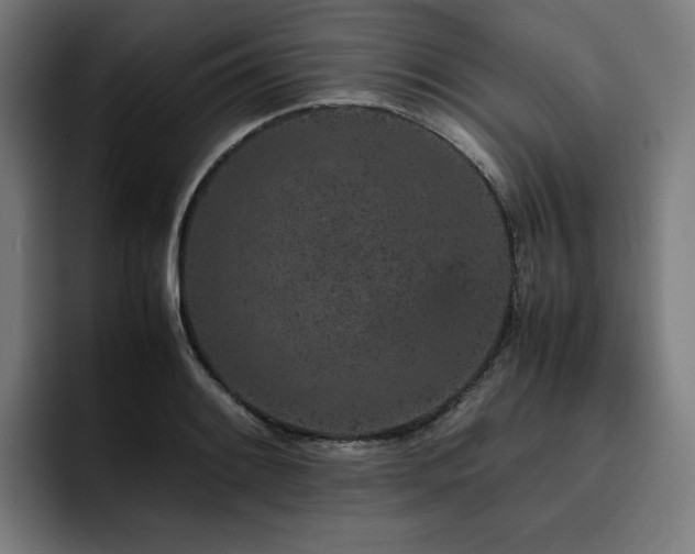 X0000093431084200710121157