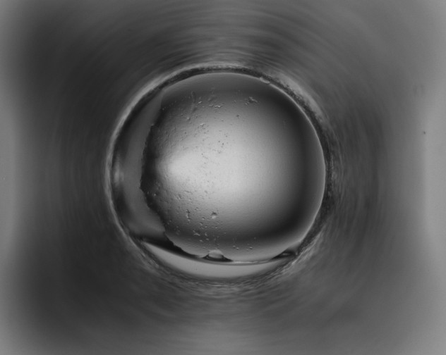 X0000093431085200710121157
