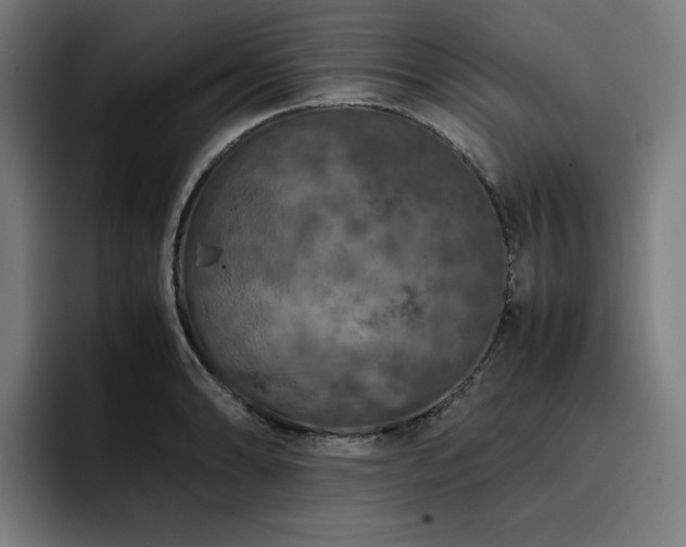 X0000093431086200710121157