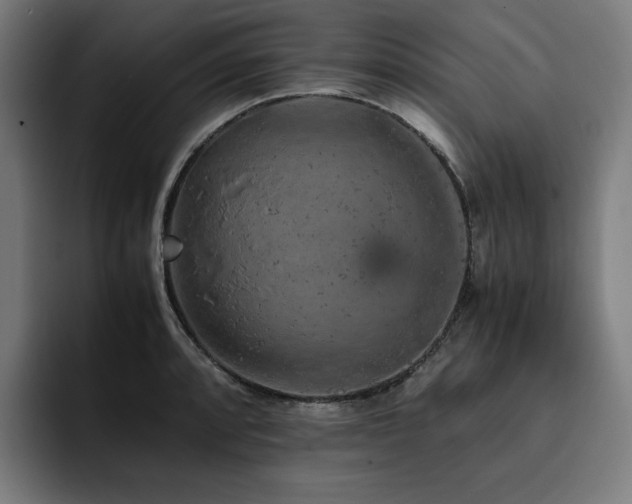 X0000093431088200710121157