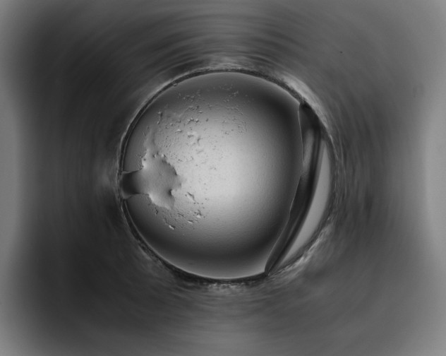 X0000093431089200710121157