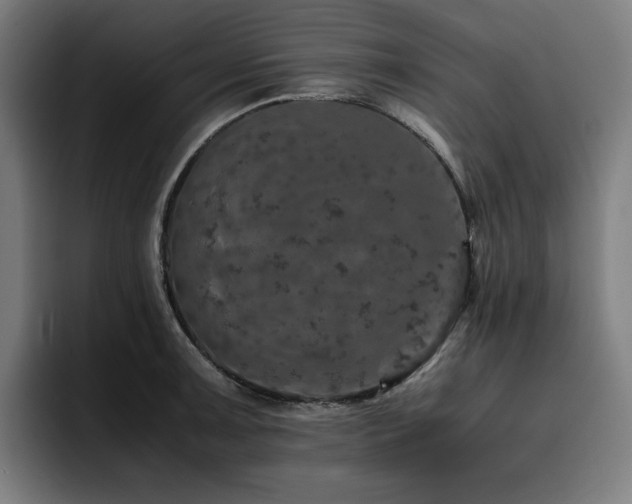 X0000093431091200710121157
