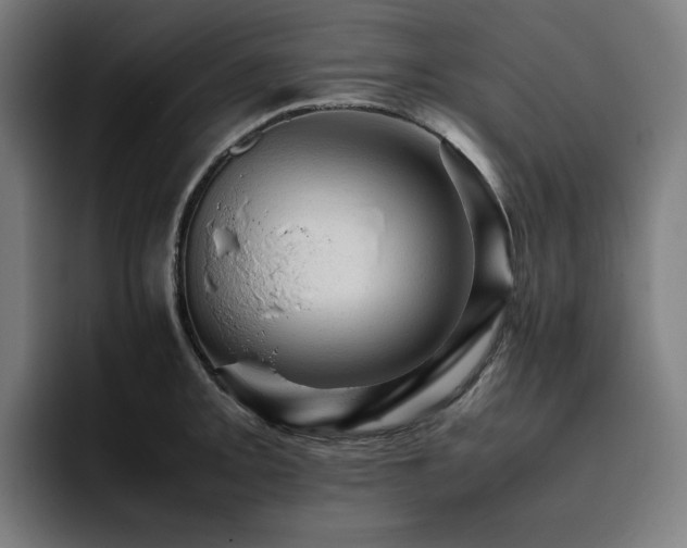 X0000093431093200710121157