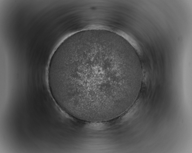 X0000093431094200710121157