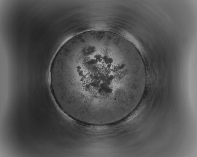 X0000093431095200710121157