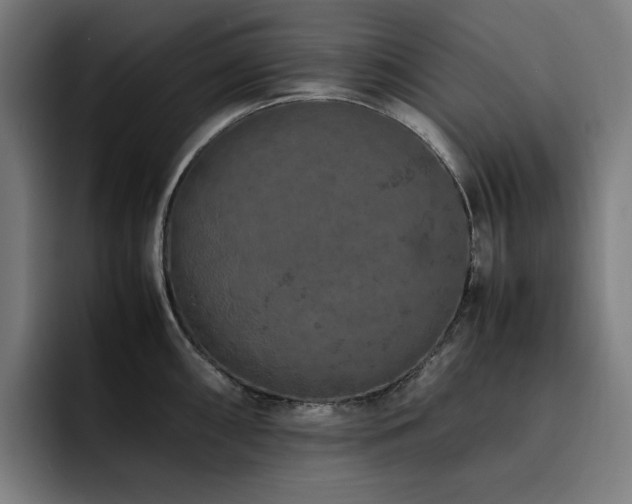X0000093431098200710121157