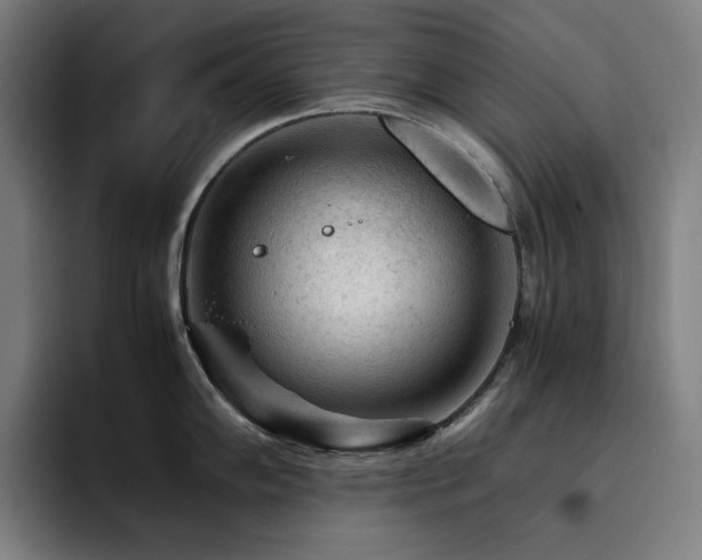 X0000093431102200710121157
