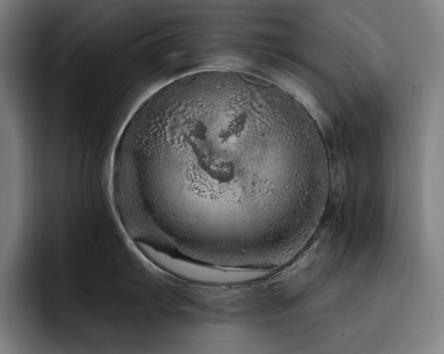 X0000093431103200710121157