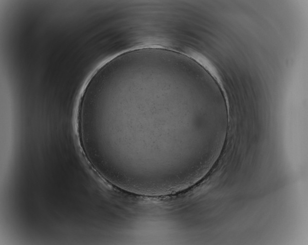 X0000093431104200710121157