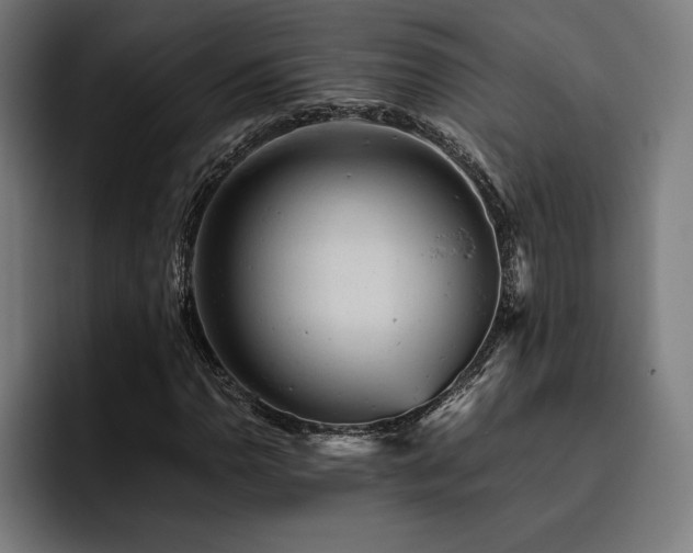 X0000093431110200710121157