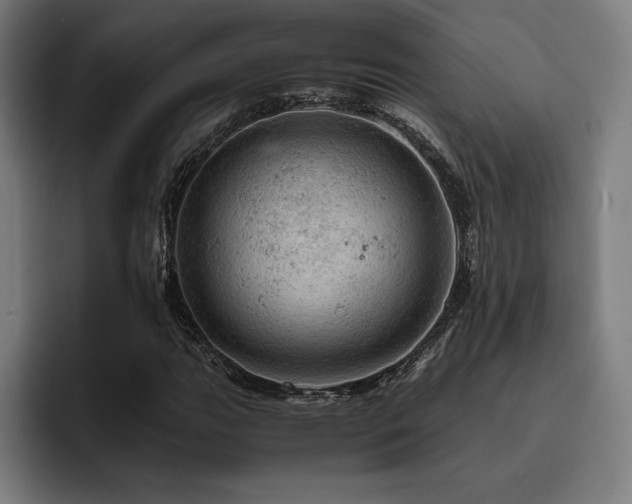 X0000093431111200710121157