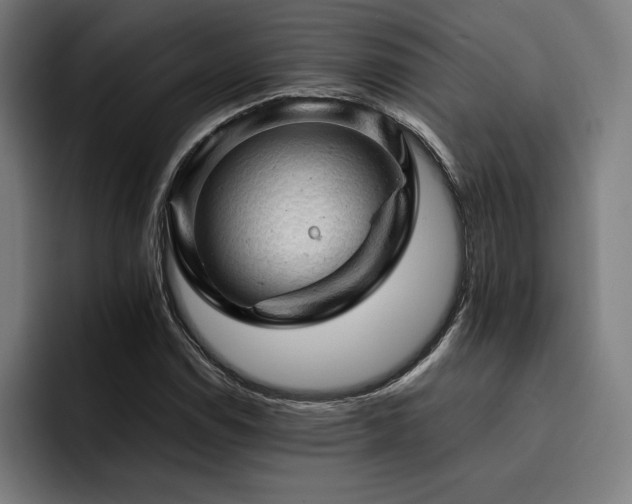 X0000093431114200710121157