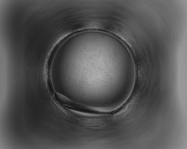 X0000093431119200710121157