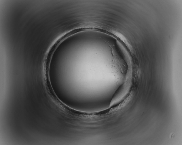 X0000093431120200710121157