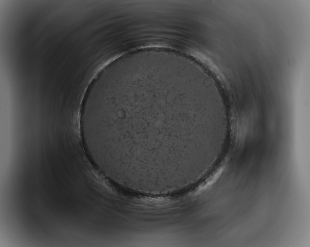 X0000093431121200710121157